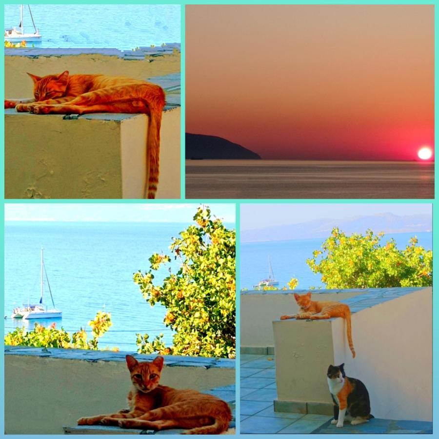 Evangelia House Sea View Apartments Agia Pelagia (Kythira) Exterior foto